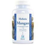 holistic-mangan